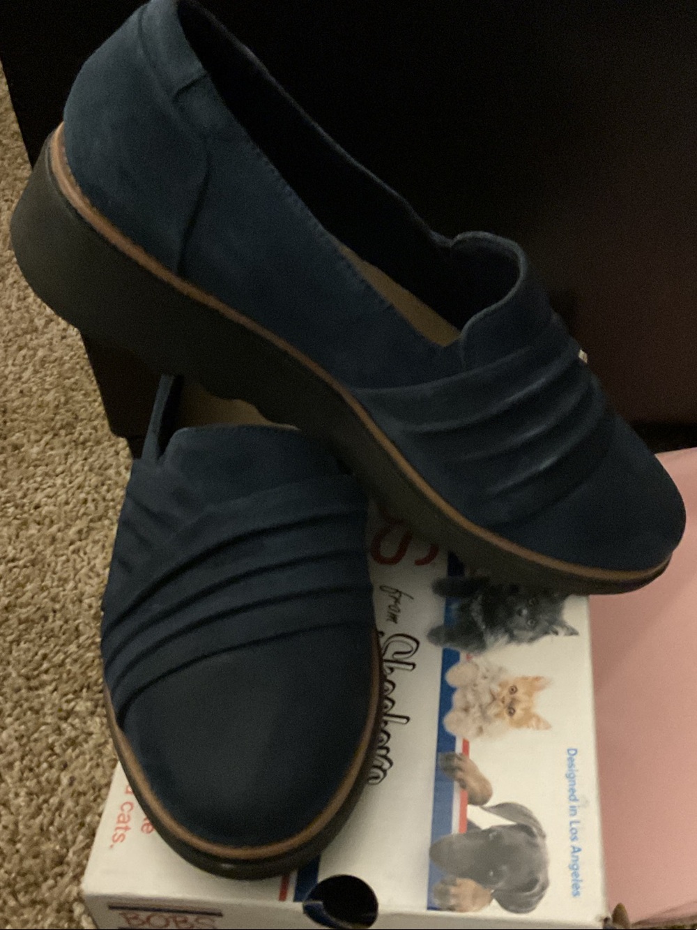 Clarks Navy Blue Slip-On Loafers